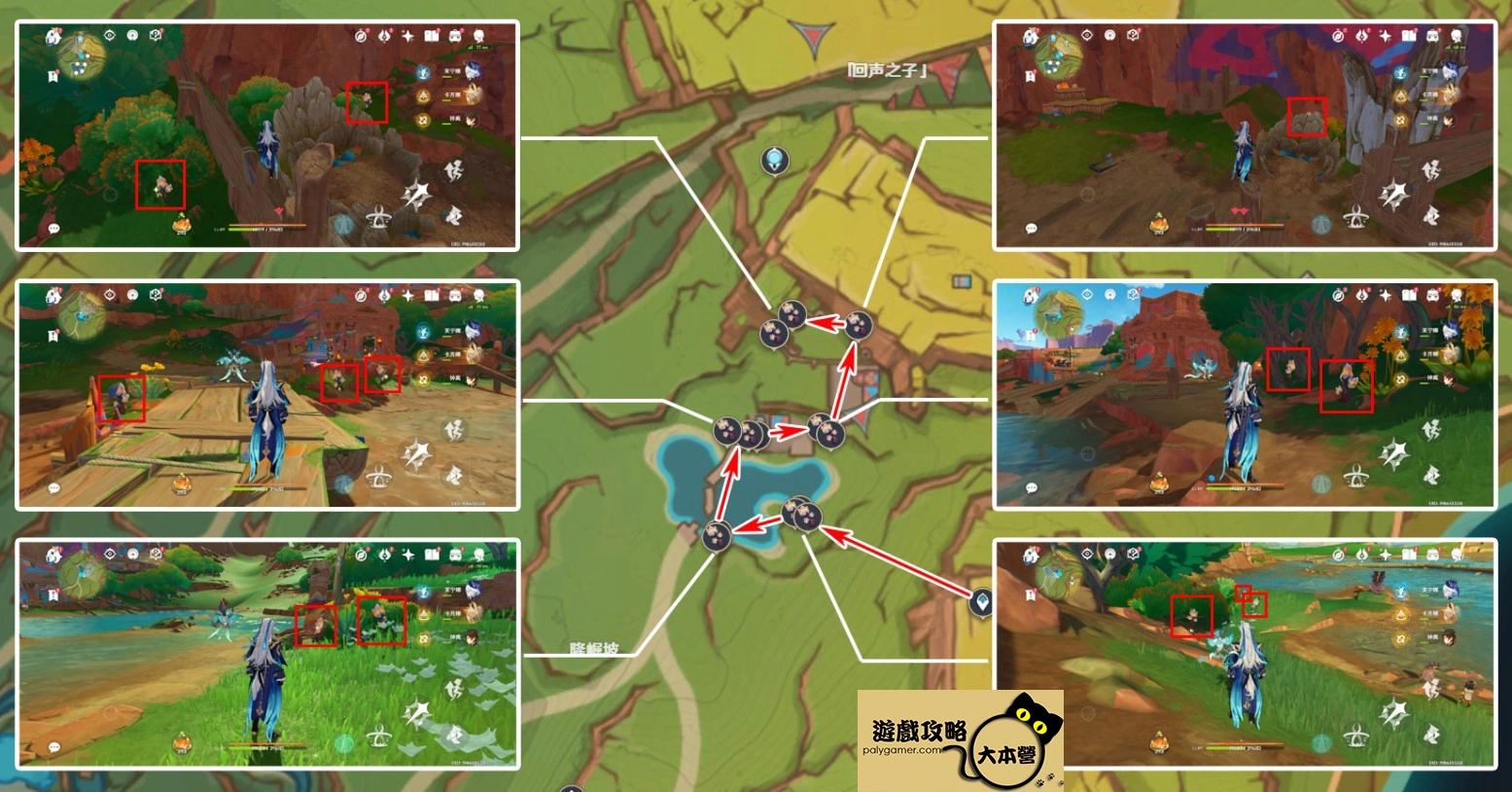 《原神》5.0肉龍掌採集路線-01