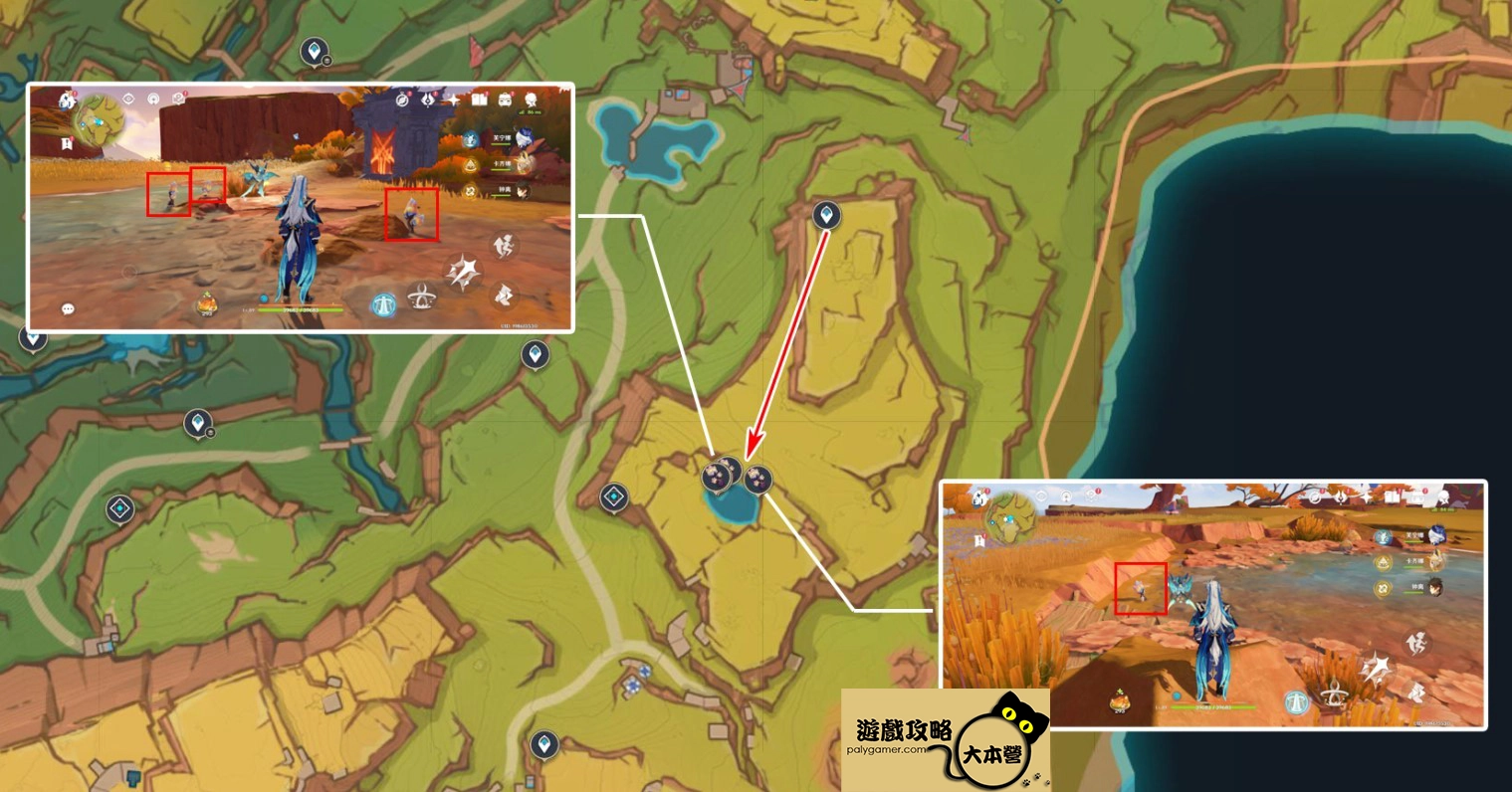 《原神》5.0肉龍掌採集路線-02