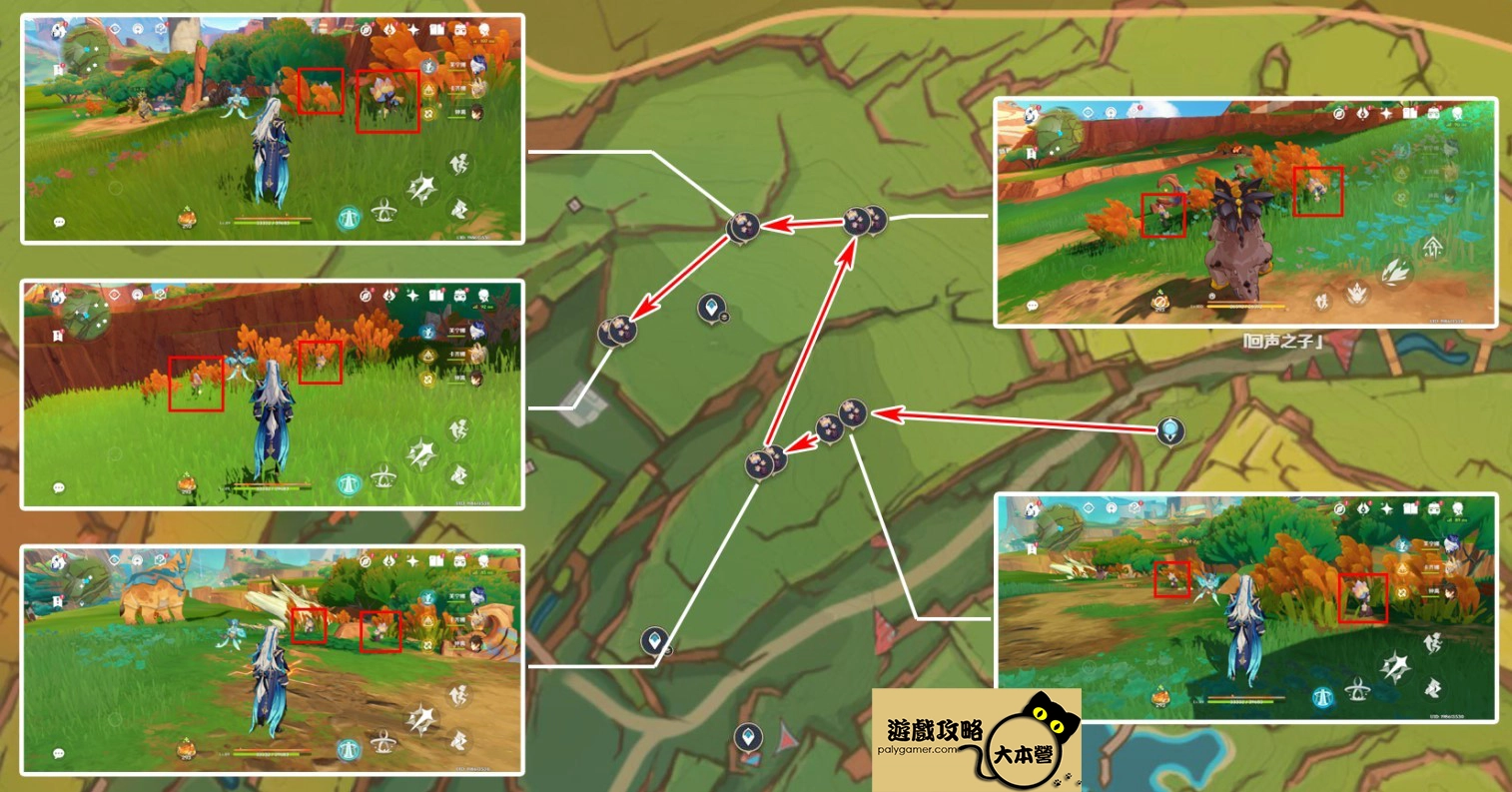 《原神》5.0肉龍掌採集路線-03