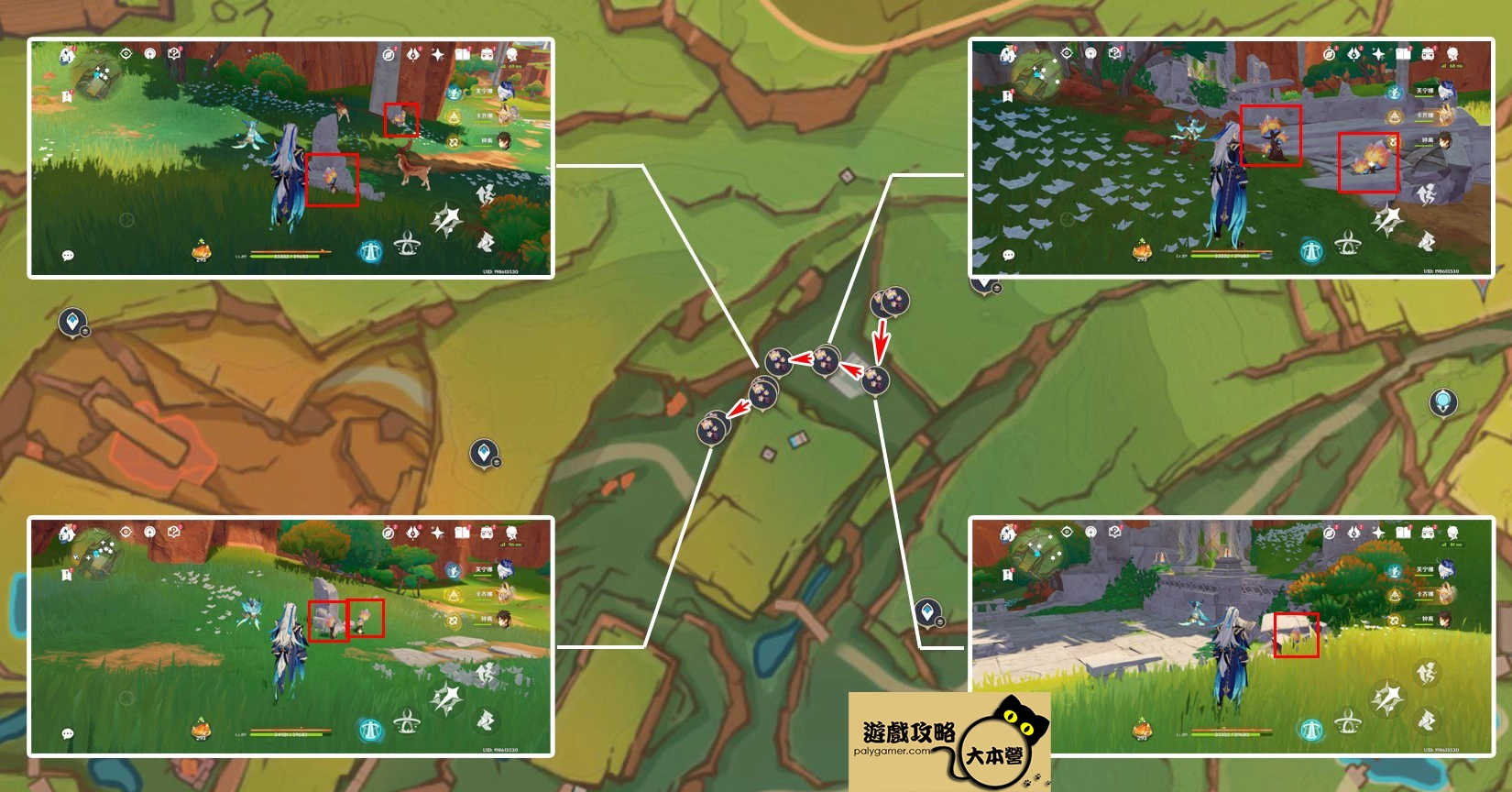 《原神》5.0肉龍掌採集路線-04