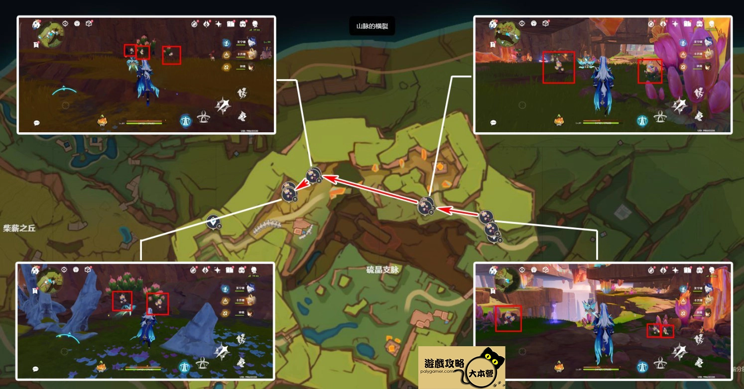 《原神》5.0肉龍掌採集路線-06