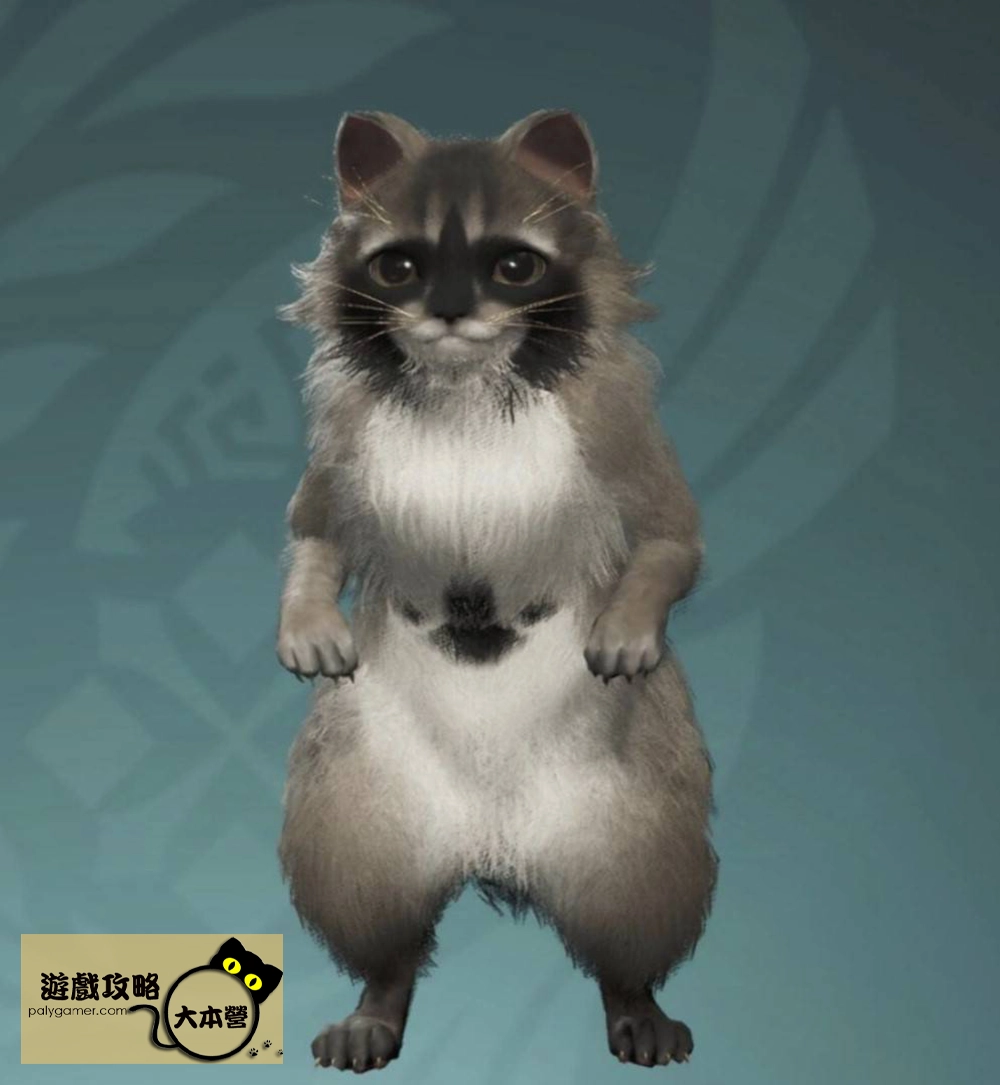 《魔物獵人荒野》浣熊艾露貓捏臉攻略Monster Hunter Wilds