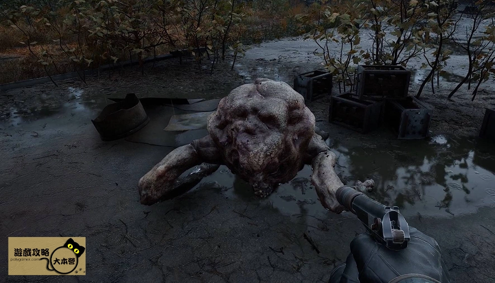《浩劫殺陣 2:車諾比之心》變異生物全圖鑒:豚獸攻略 S.T.A.L.K.E.R. 2: Heart of Chornobyl