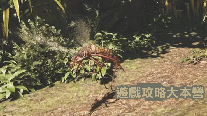 獵人必備!《魔物獵人荒野》小型魔物攻略與素材獲取指南-巨蜂圖鑑