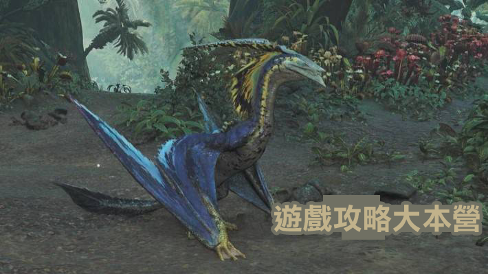 獵人必備!《魔物獵人荒野》小型魔物攻略與素材獲取指南-刺槍翼龍圖鑑