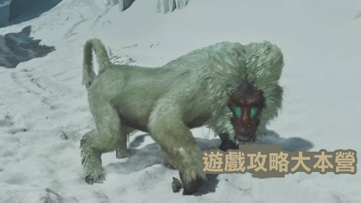 獵人必備!《魔物獵人荒野》小型魔物攻略與素材獲取指南-雪獅子圖鑑