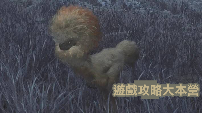 獵人必備！《魔物獵人荒野》小型魔物攻略與素材獲取指南-箭羽龍圖鑑