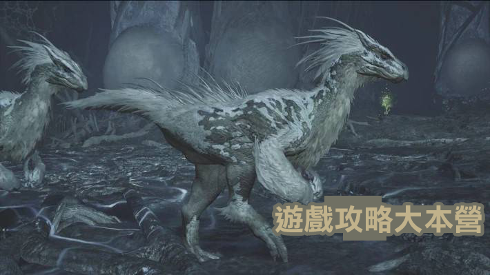 獵人必備!《魔物獵人荒野》小型魔物攻略與素材獲取指南-護鷺鷹圖鑑